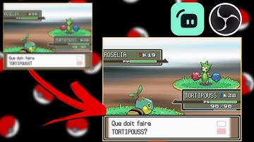 How to setup DS/3DS capture cards on Streamlabs/OBS