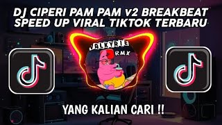DJ CIPERI PAM PAM V2 BREAKBEAT SPEED UP VIRAL TIKTOK TERBARU 2024