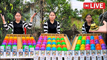 Sort the color puzzle and win $700