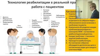 Шмонин А.А.  Систематический обзор российских исследований применения МКФ в реабилитации.