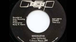 Latin Breed - Maranatha
