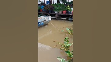 Câu cá úc trên sông #fishing #food #fish