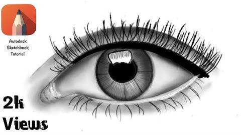 Realistic Eye drawing step by step |Mobile| Autodesk Sketchbook