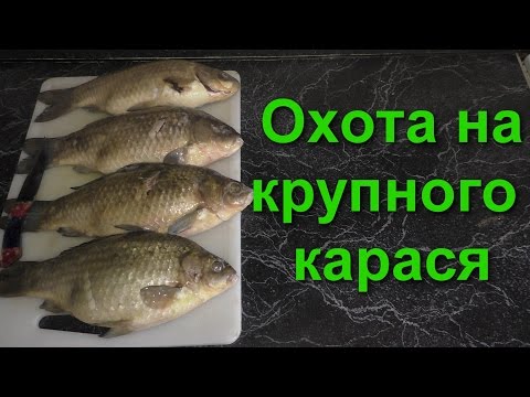 Последняя подводная охота