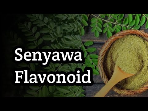 Senyawa Flavonoid | Kimia Bahan Alam