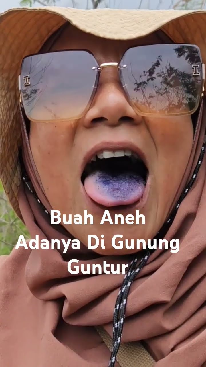 INILAH BUAH HARENDONG