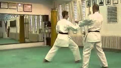 Uechi ryu Dan Kumite