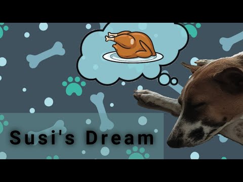Susi's Dream | Lockdown Film Challenge