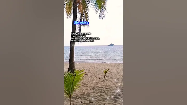 Life advice for you #lifequotes #positivity #motivation #travel