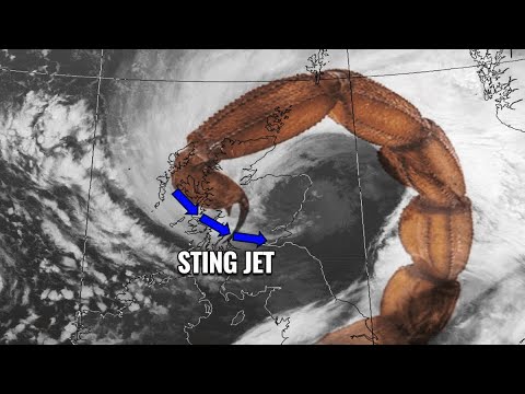 Hurricane Milton Cat