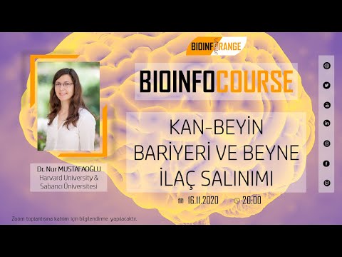 Dr. Nur Mustafaoğlu - Kan-Beyin Bariyeri ve Beyne İlaç Salınımı - Bioinfocourse 2. Video