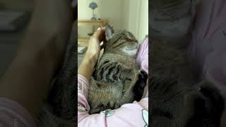 My Bf Can Only Sleep When His Mom Gently Pats Him