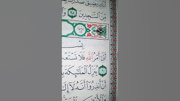 ما معنى "أتى أمر الله فلا تستعجلوه"#سورة #النحل