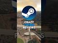 Crazy Steam Reviews #microsoftflightsim2024 #steam #reviews #gaming #memes