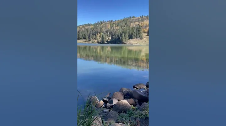 Williams Creek Reservoir