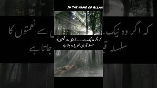 Qabar aaqirat ki pehli manzil hai WhatsApp status by Shaikh Abdul Azeem Madani