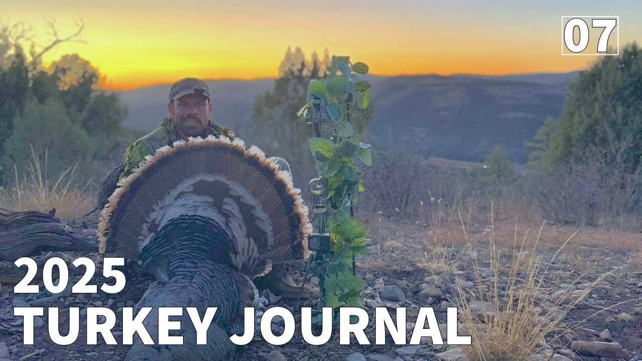 EPIC National Forest NEW MEXICO PUBLIC LAND Turkey Hunting!! MOUNTAIN MERRIAM GOBBLERS
