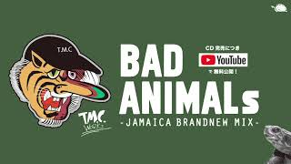 【BAD ANIMALs Vol.1】TURTLE MAN’s CLUB★売り切れ完売した人気シリーズのVol.１をYOUTUBEに大公開！★