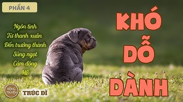 Số lần cô mộng du gần đây khá thường xuyên, Tang Diên lo lắng khi xa cô