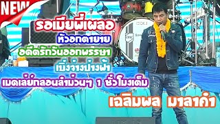 ลำซิ่ง+รอเมียพี่เผลอ+ตามใจแม่+เมดเล่ เฉลิมพล มาลาคำ #ต้นกล้ามิวสิค @sayun-soundchannel7064