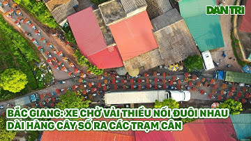 Bắc Giang: Xe Chở Vải Thiều Nối Đuôi Nhau Dài Hàng Cây Số Ra Các Trạm Cân