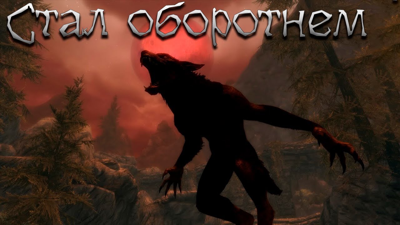 The elder scrolls вервольф. Skyrim оборотень. альфа вервольф скайрим. вервольф скайрим. скайрим вервольф самка.