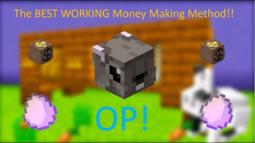 *THE BEST NEW* money making method | hypixel skyblock #moneymakingmethod #hypixel