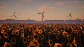 8 Hours Beautiful Sunflower Field / Relaxing Screensaver / Nature Sounds for Relaxing Mind