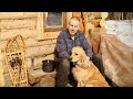 Home Alone with my Dog at the Log Cabin, ASMR Tapping Trees, Off Grid Refrigeration