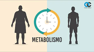 ¿A qué edad comienza el metabolismo rápido?