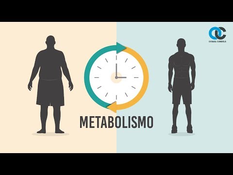 Video: Alimentos Que Aumentan El Metabolismo