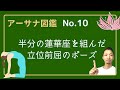 【アーサナ図鑑】No.10半分の蓮華座を組んだ立位前屈のポーズ