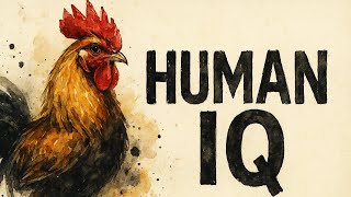 What If Chickens Had Human IQ?