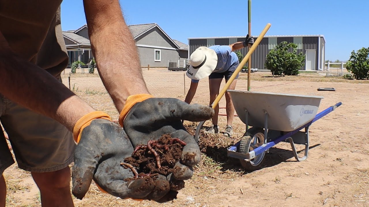 DFV | Water Brings Life | Fertilizing Begins