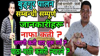 Bungur Palan सम्बन्धी सम्पूर्ण जानकारीहरू||Bungur Farm In Nepal||Pig Farming in Nepal|Bungur ko Dana