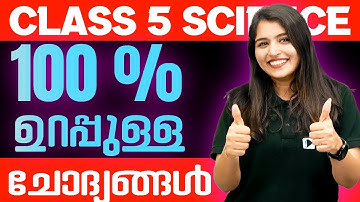 Class 5 Basic Science | Sources Of Energy | Very Important Sure Questions | Exam Winner
