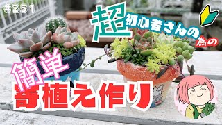 超初心者さんのための簡単寄せ植え作り🔰少ない苗👌即買いセダム🌱株分け✂【多肉植物】No252