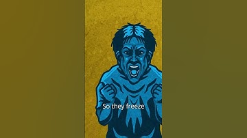 How to Master Trading uncertainty 🧠