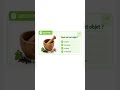 ✨ learn french with esay way !#LearnFrench #FrenchVocabulary #foryou #shorts