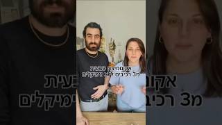 אקונומיקה טבעית תוצרת בית