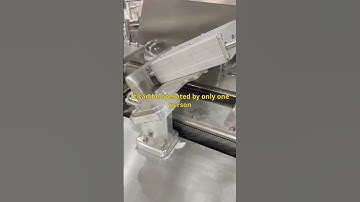 Slicing Fish with Precision: Unveiling the Fish Slicer Machine