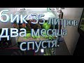 Кубик через два месяца 35 л