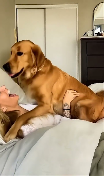#dogloverspsychology  #iloveallah g #animals #dog #petstagram #dogslife #instagood#happydog