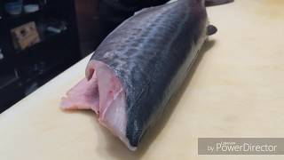 Sushi Prep How To Fillet Sawara Japanese Spanish Mackerel Omakase Nigirist Youtube
