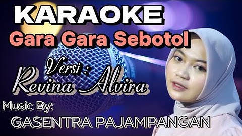 Gara Gara Sebotol "KARAOKE" Versi : Revina Alvira