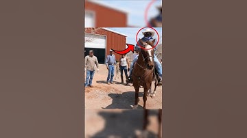 Cowboys DESTROY Bounty Hunters For Trespassing! 😂#shorts