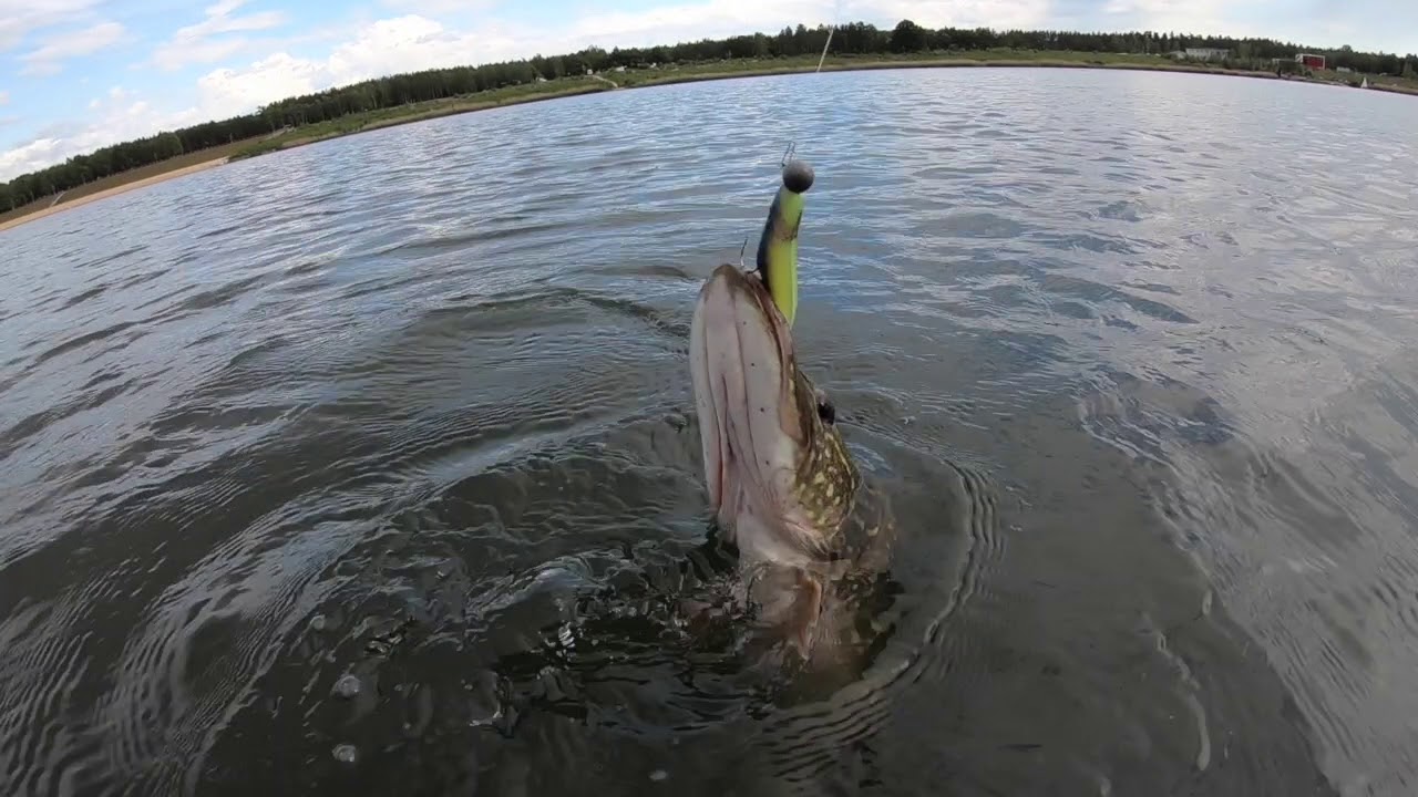 02.06.2020 Bärwaldersee