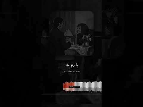حبيت جميل حالات واتس اب