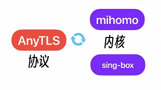 机场集体改AnyTLS后，拉节点都费劲？协议、内核、客户端三者关系彻底讲透