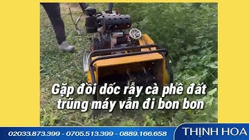 MÁY CẮT CỎ TRỤC BĂM FUJY FJ-178 – TỰ HÀNH, BĂM CỎ KHỎE, ĐỨNG LÁI NHẸ NHÀNG #thinhhoa #maycatco
